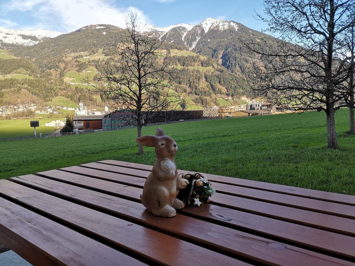 Apart Sprenger Fuegen Im Zillertal Exterior photo